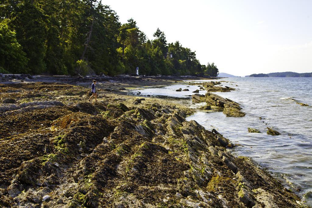 Mineral Springs Resort Saltspring Island Exterior photo