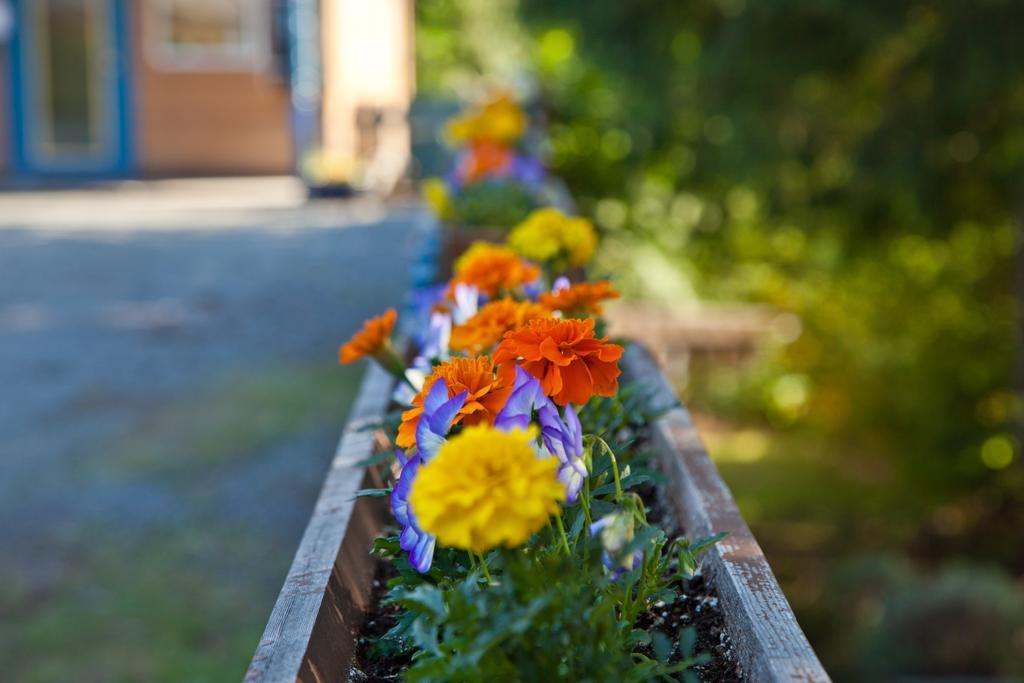 Mineral Springs Resort Saltspring Island Exterior photo