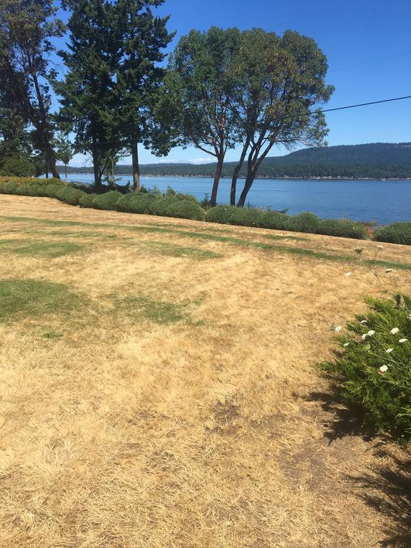 Mineral Springs Resort Saltspring Island Exterior photo